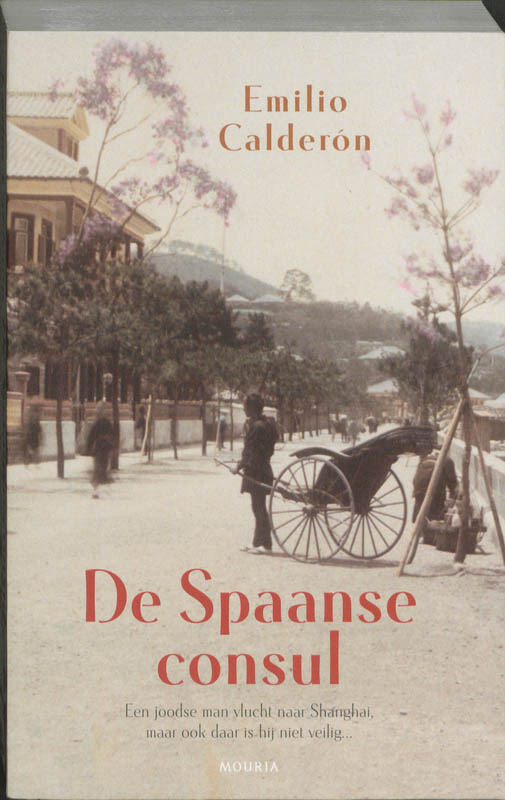 Omslag van De Spaanse consul