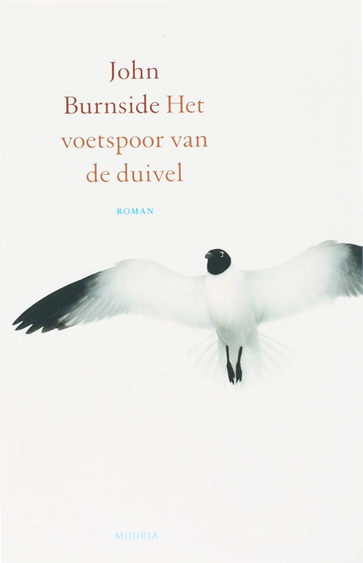 Omslag van Het voetspoor van de duivel