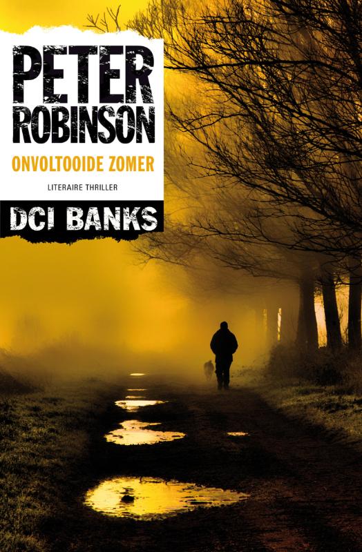 Omslag van Onvoltooide zomer