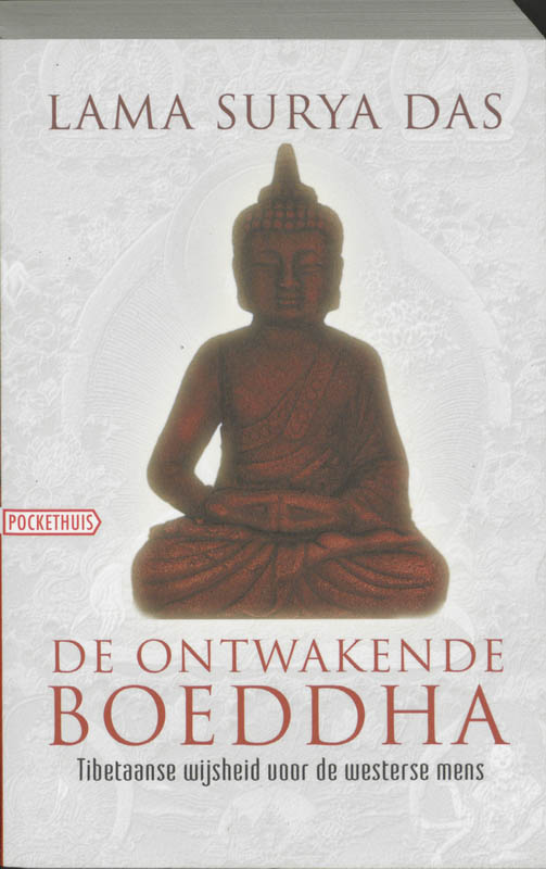 Omslag van De ontwakende Boeddha
