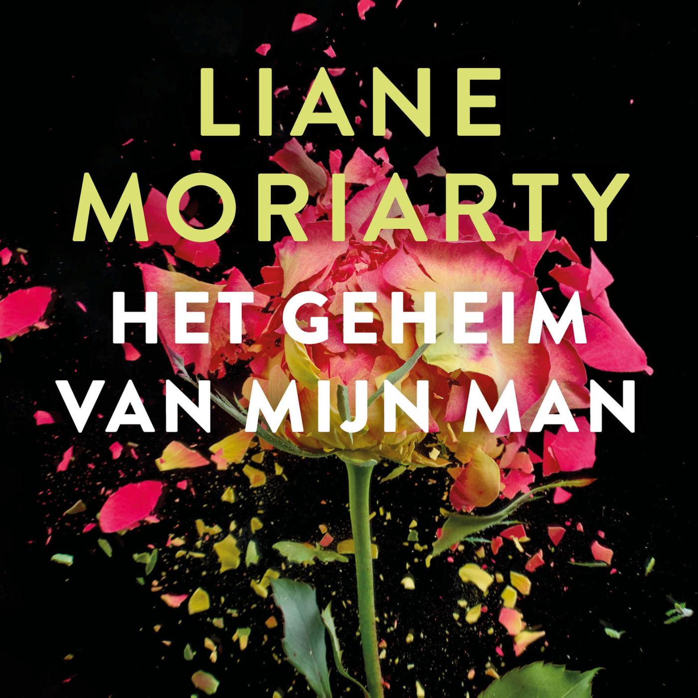 Omslag van Het geheim van mijn man