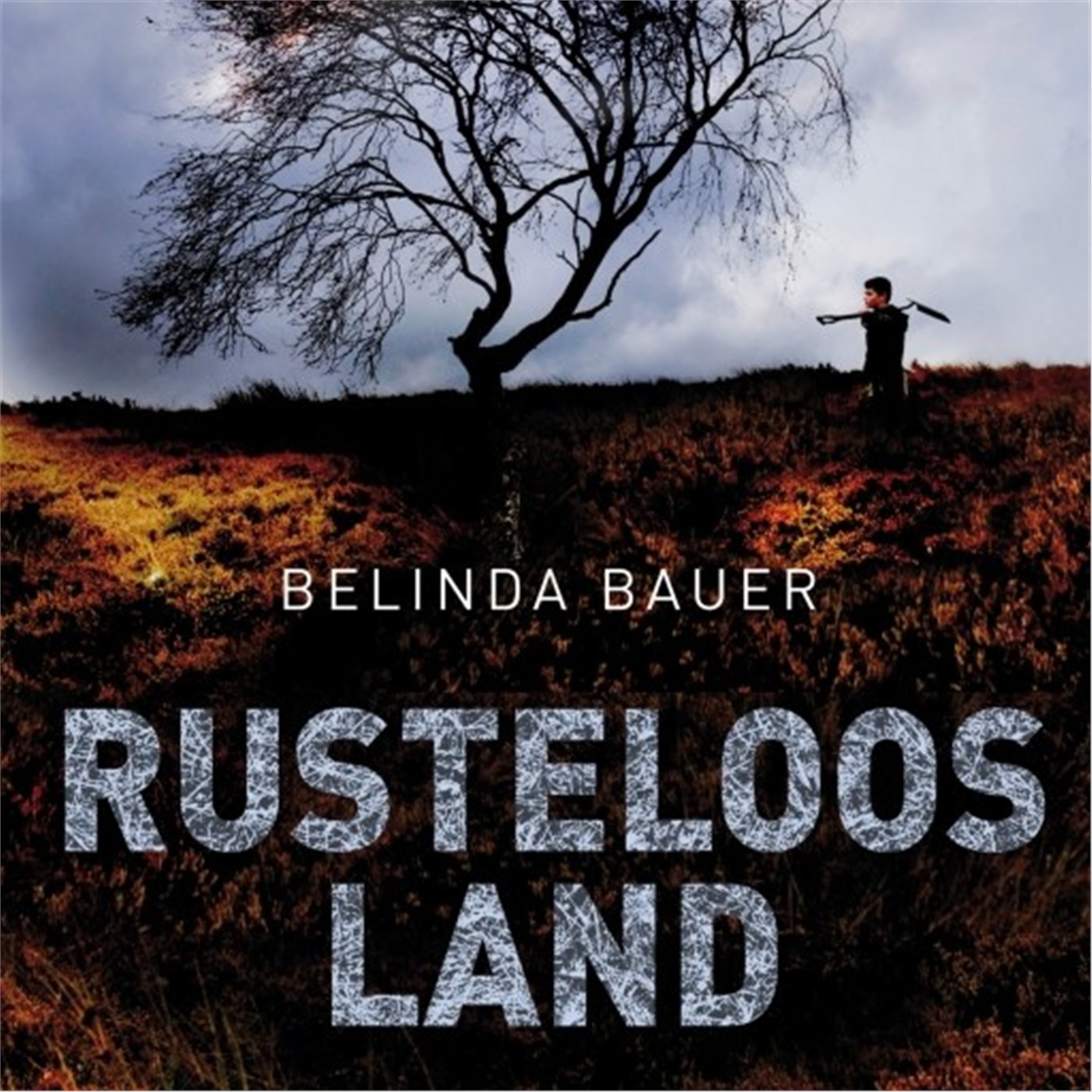 Omslag van Rusteloos land