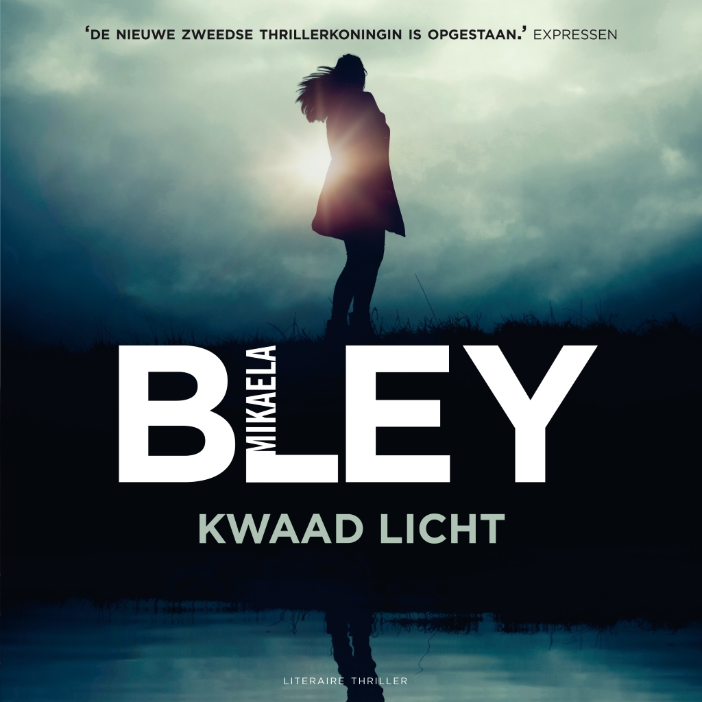 Omslag van Kwaad licht