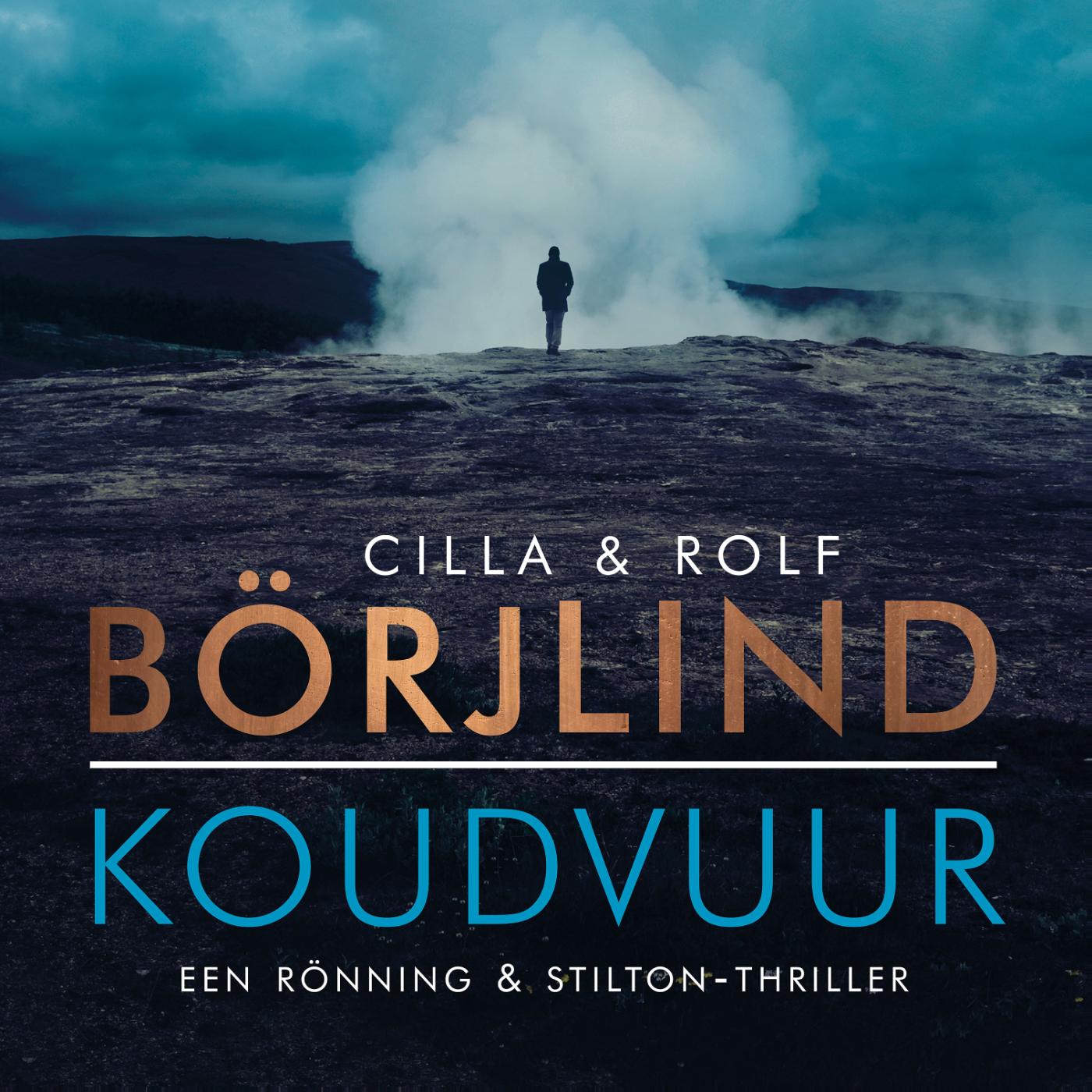 Omslag van Koudvuur