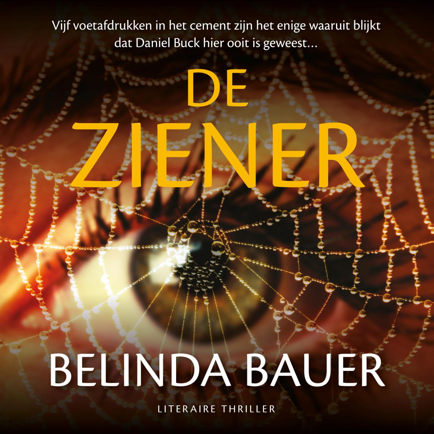 Omslag van De ziener