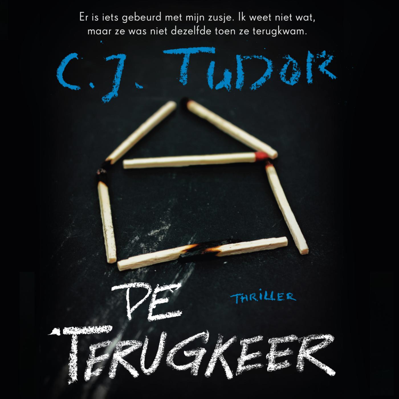 Omslag van De terugkeer