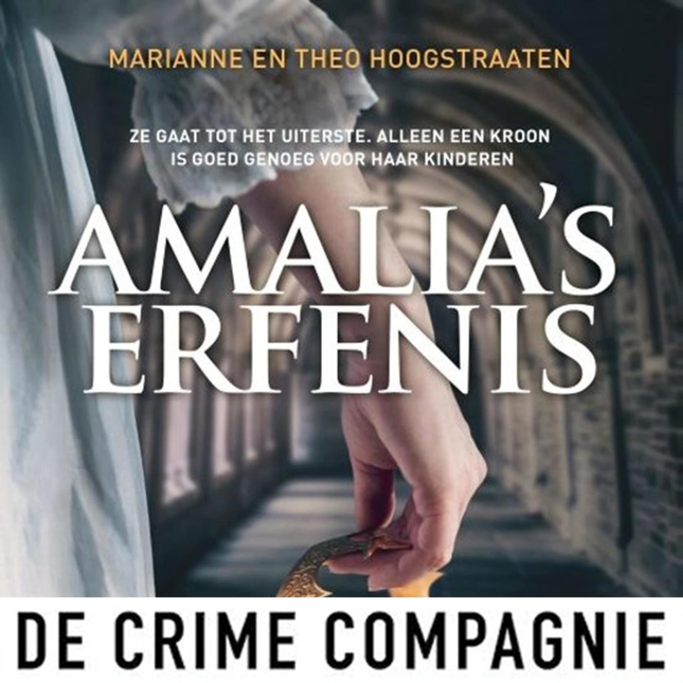 Omslag van Amalia's erfenis