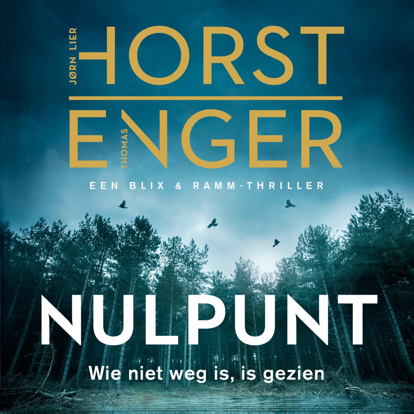 Omslag van Nulpunt