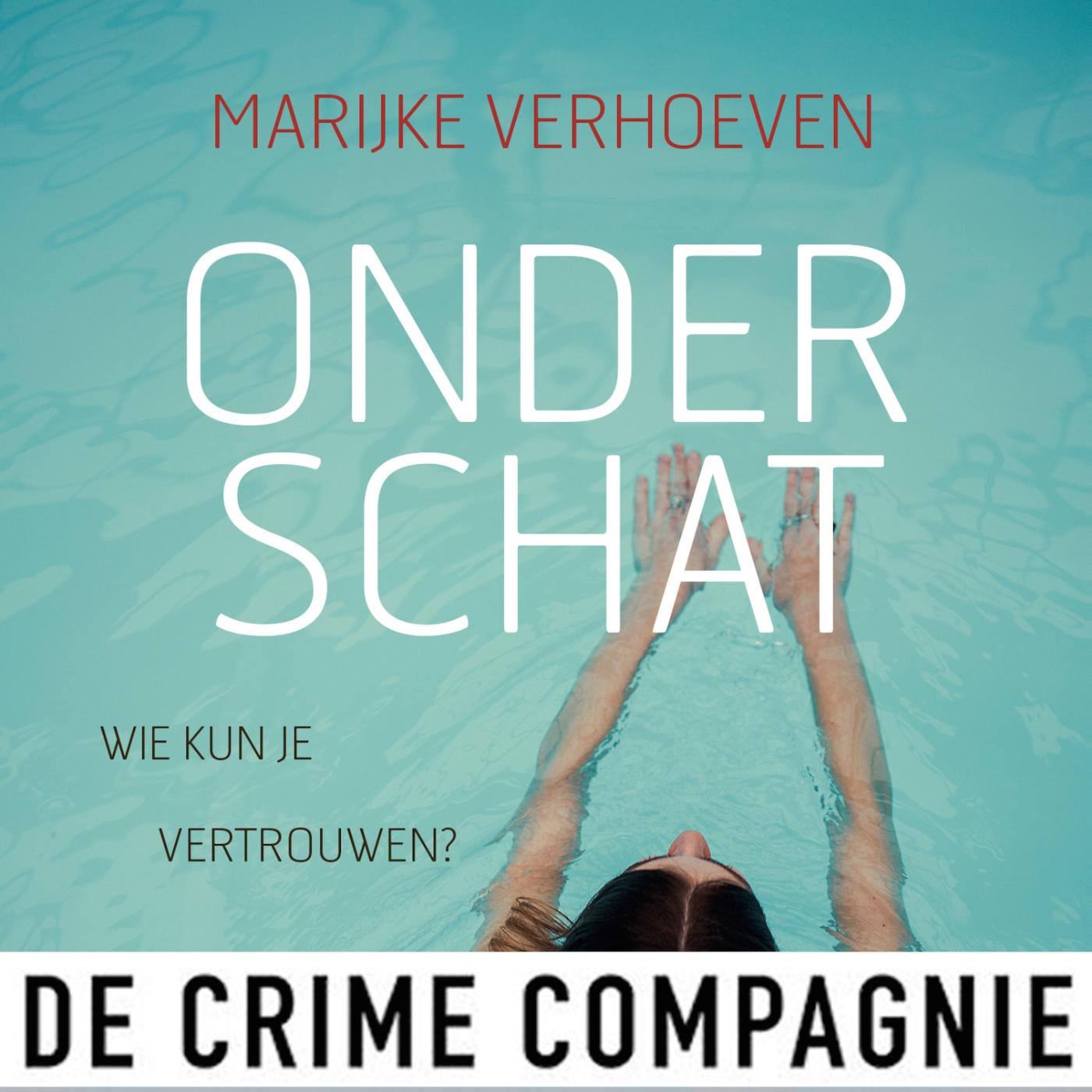 Omslag van Onderschat