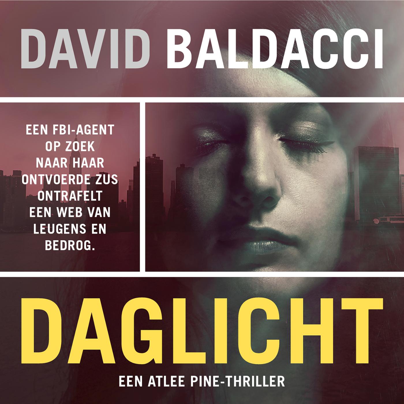 Omslag van Daglicht