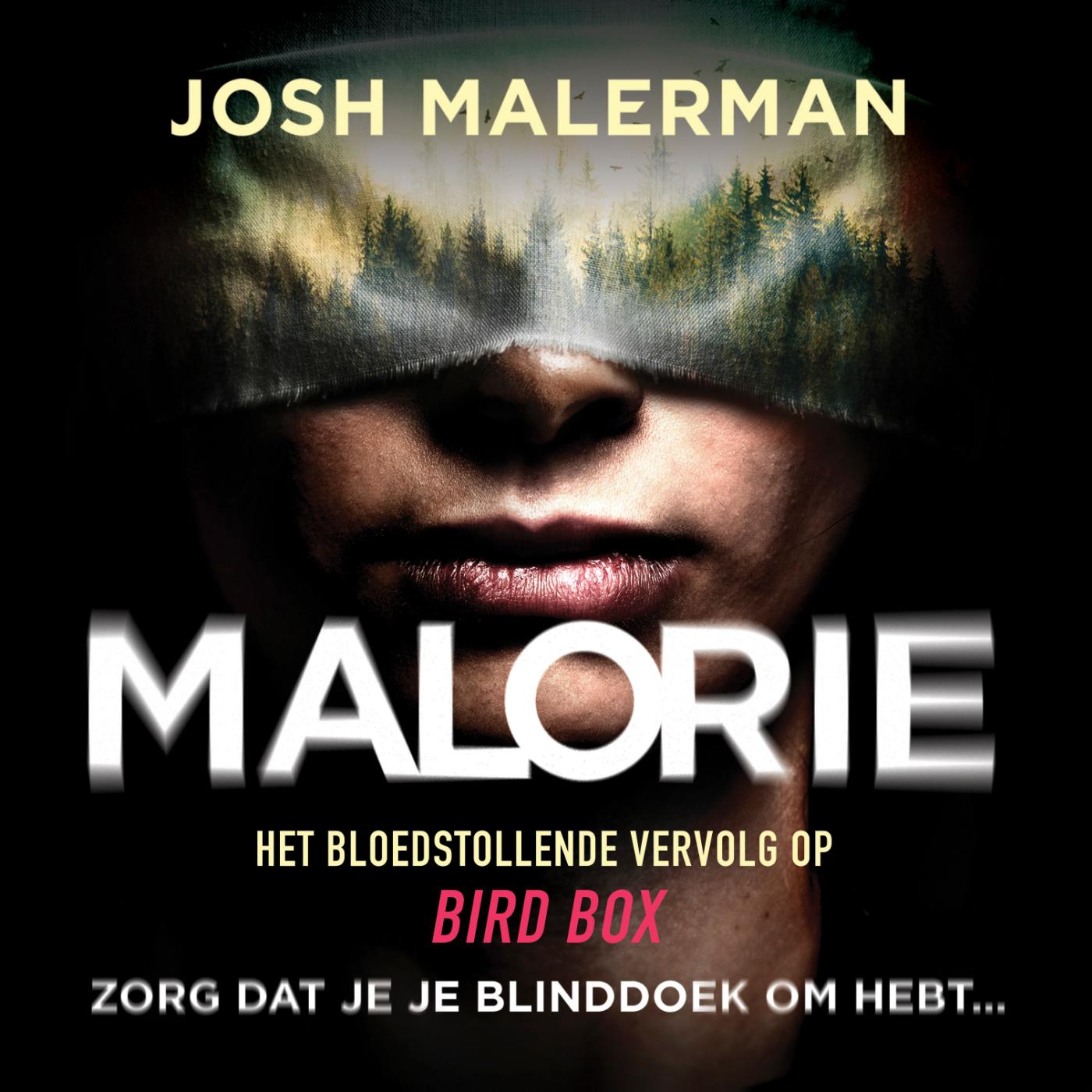Omslag van Malorie