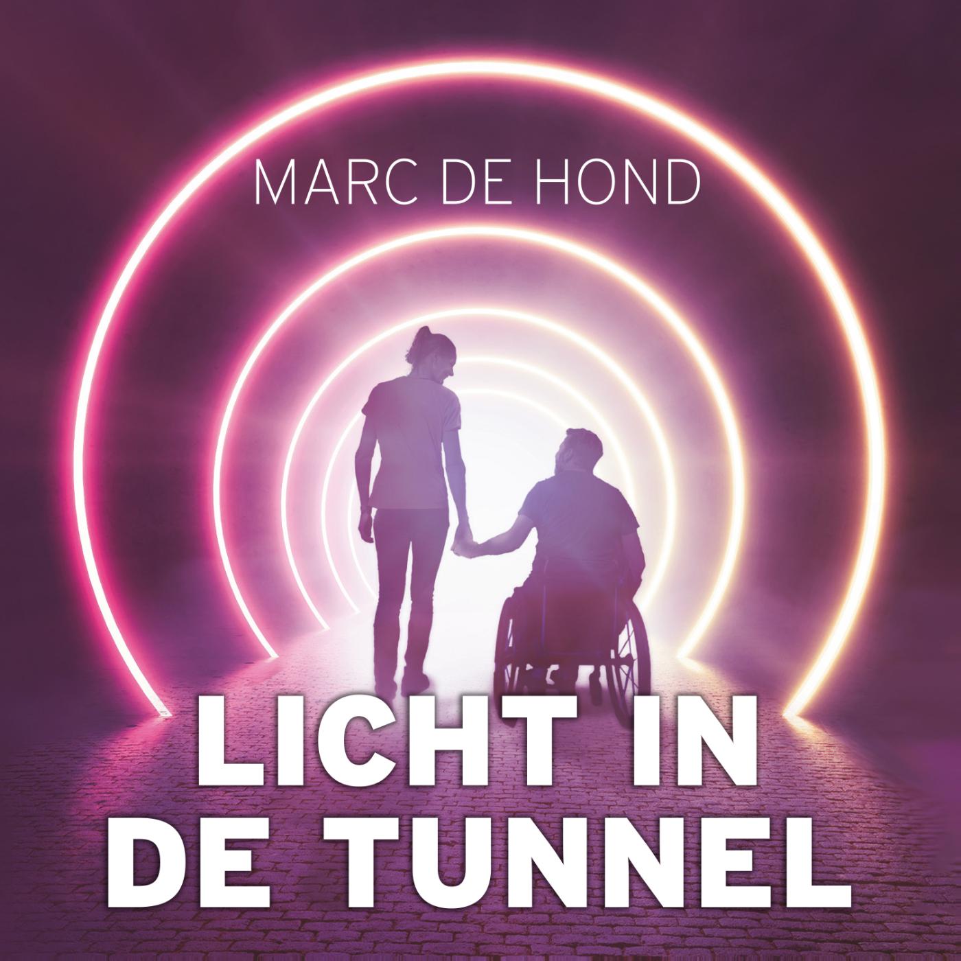 Omslag van Licht in de tunnel