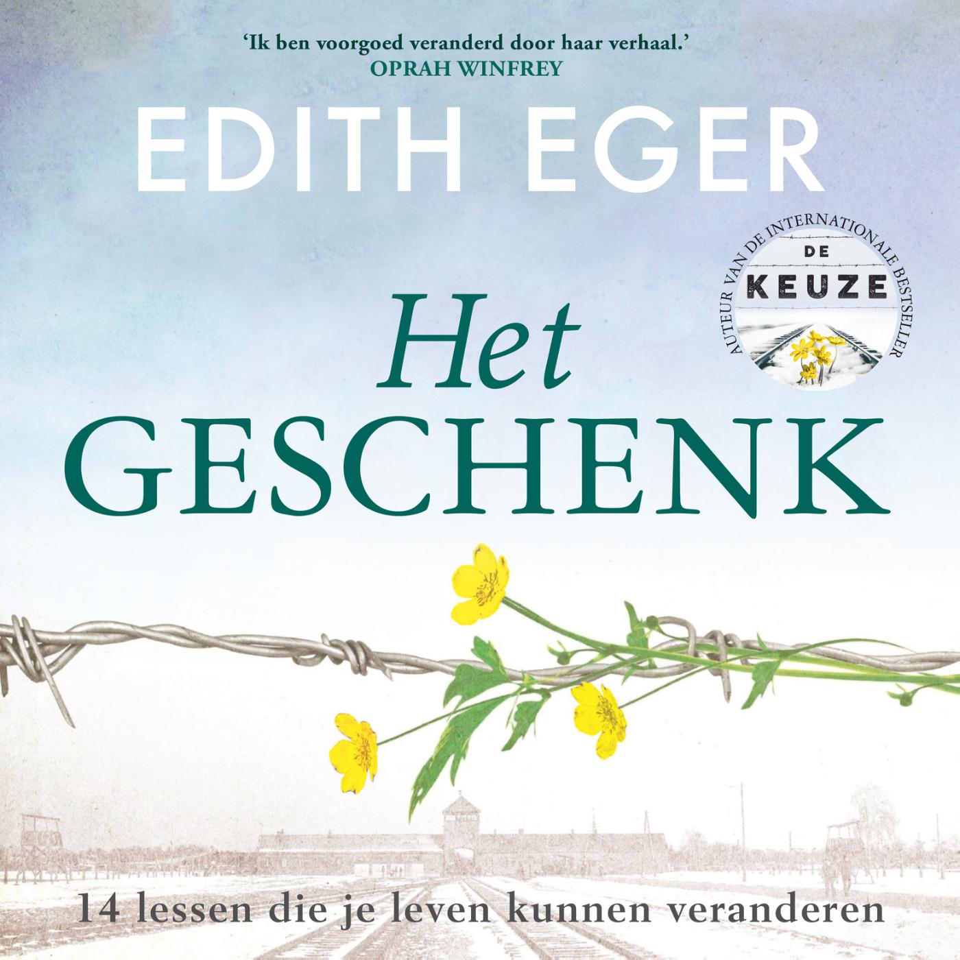 Omslag van Het geschenk