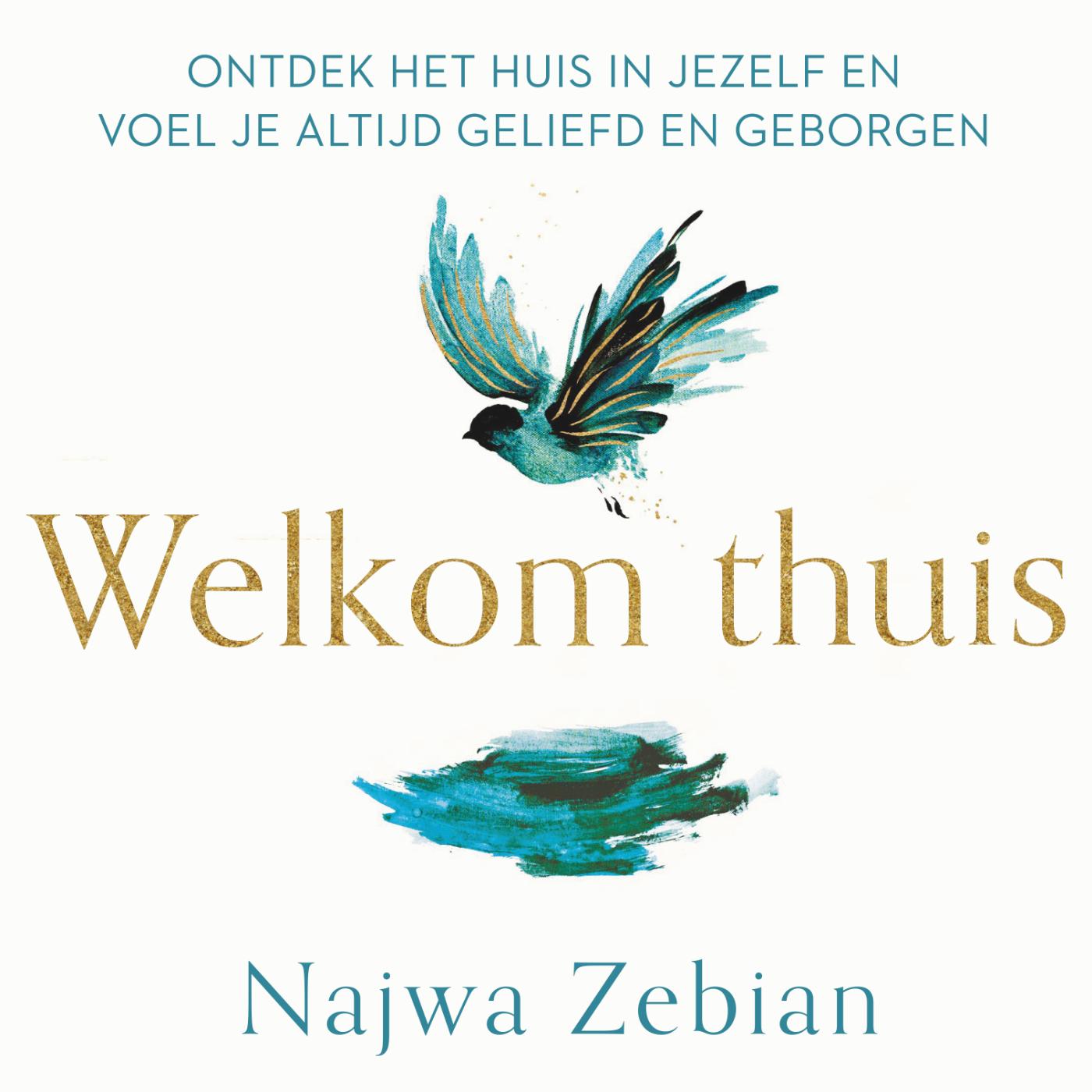Omslag van Welkom thuis