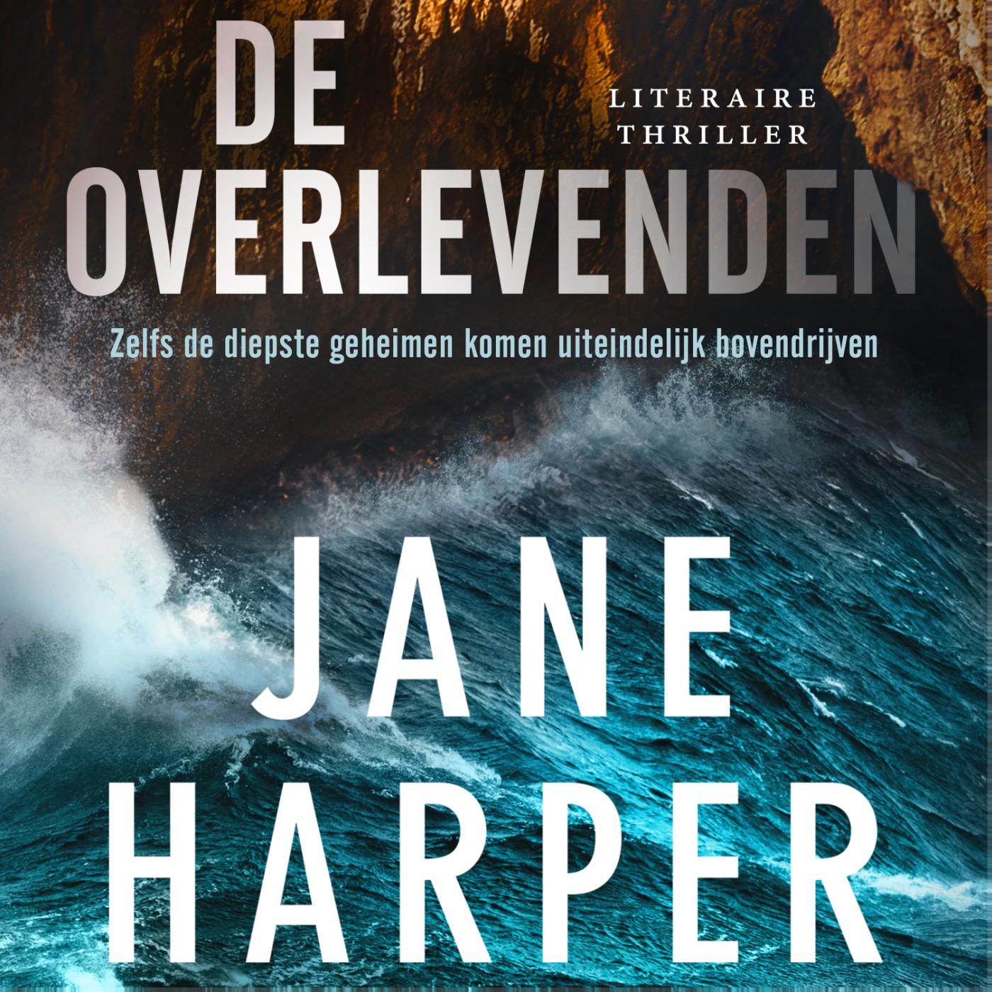 Omslag van De overlevenden