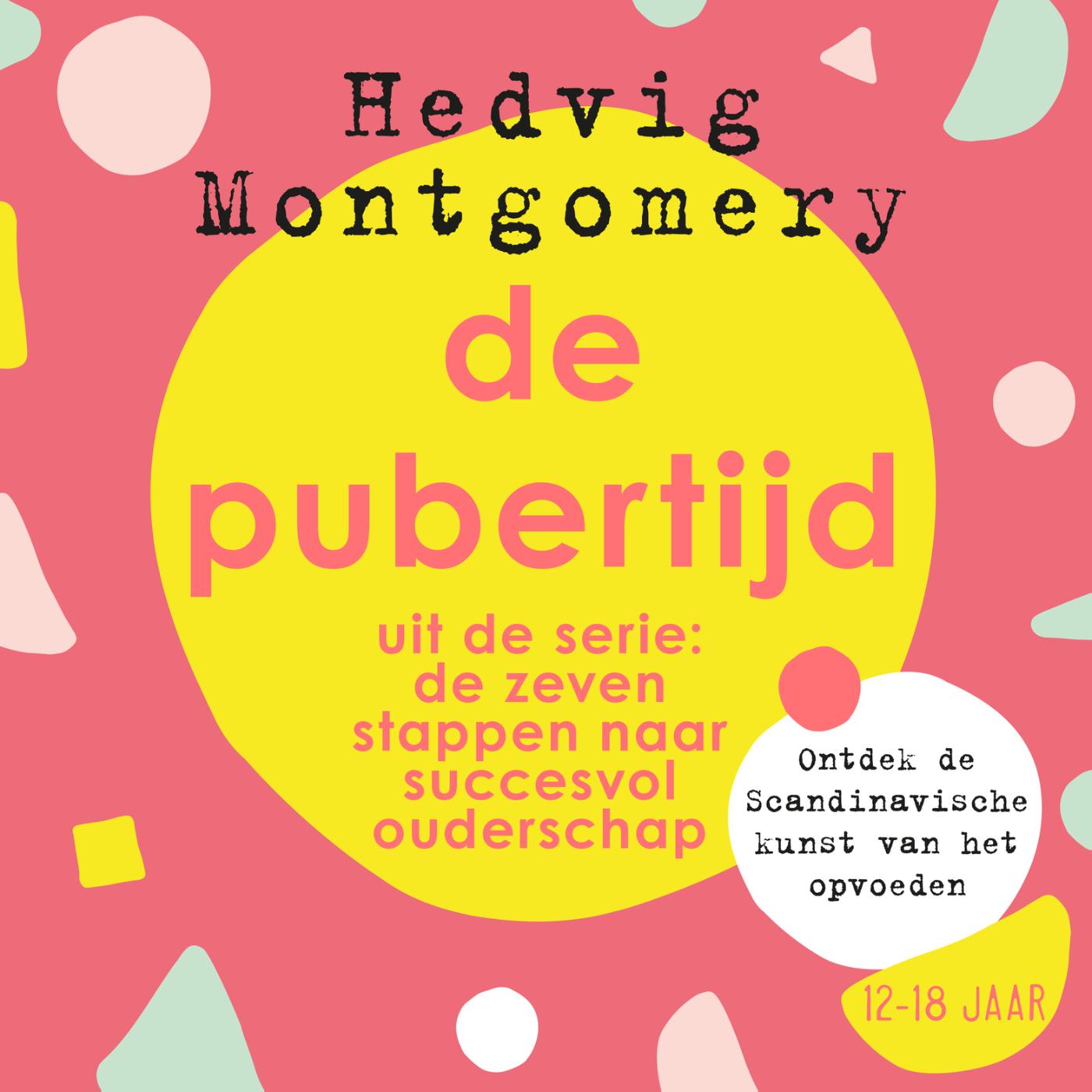 Omslag van De Pubertijd