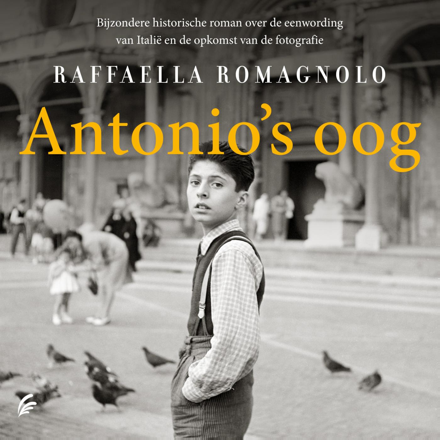 Omslag van Antonio's oog