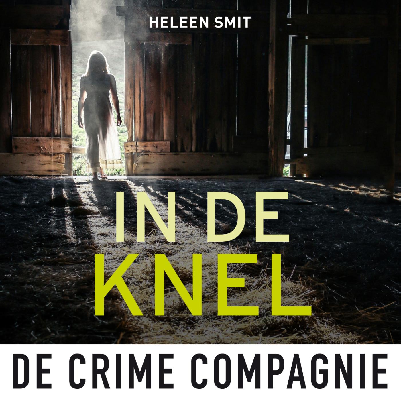 Omslag van In de knel