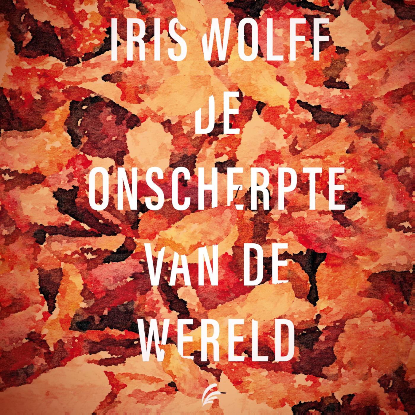 Omslag van De onscherpte van de wereld