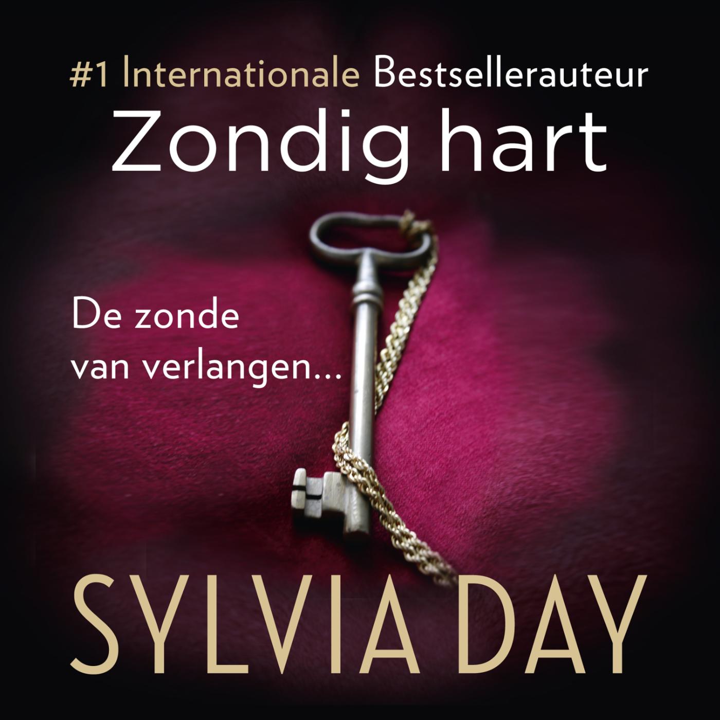 Omslag van Zondig hart