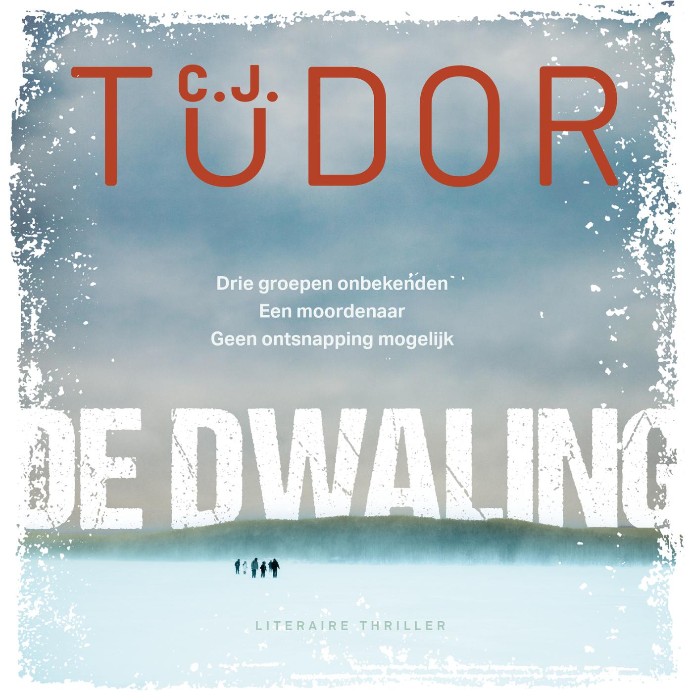 Omslag van De dwaling