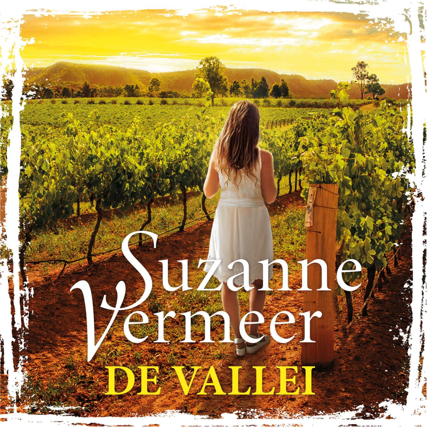 Omslag van De vallei