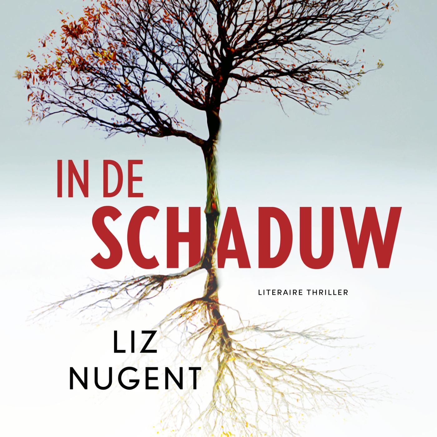 Omslag van In de schaduw