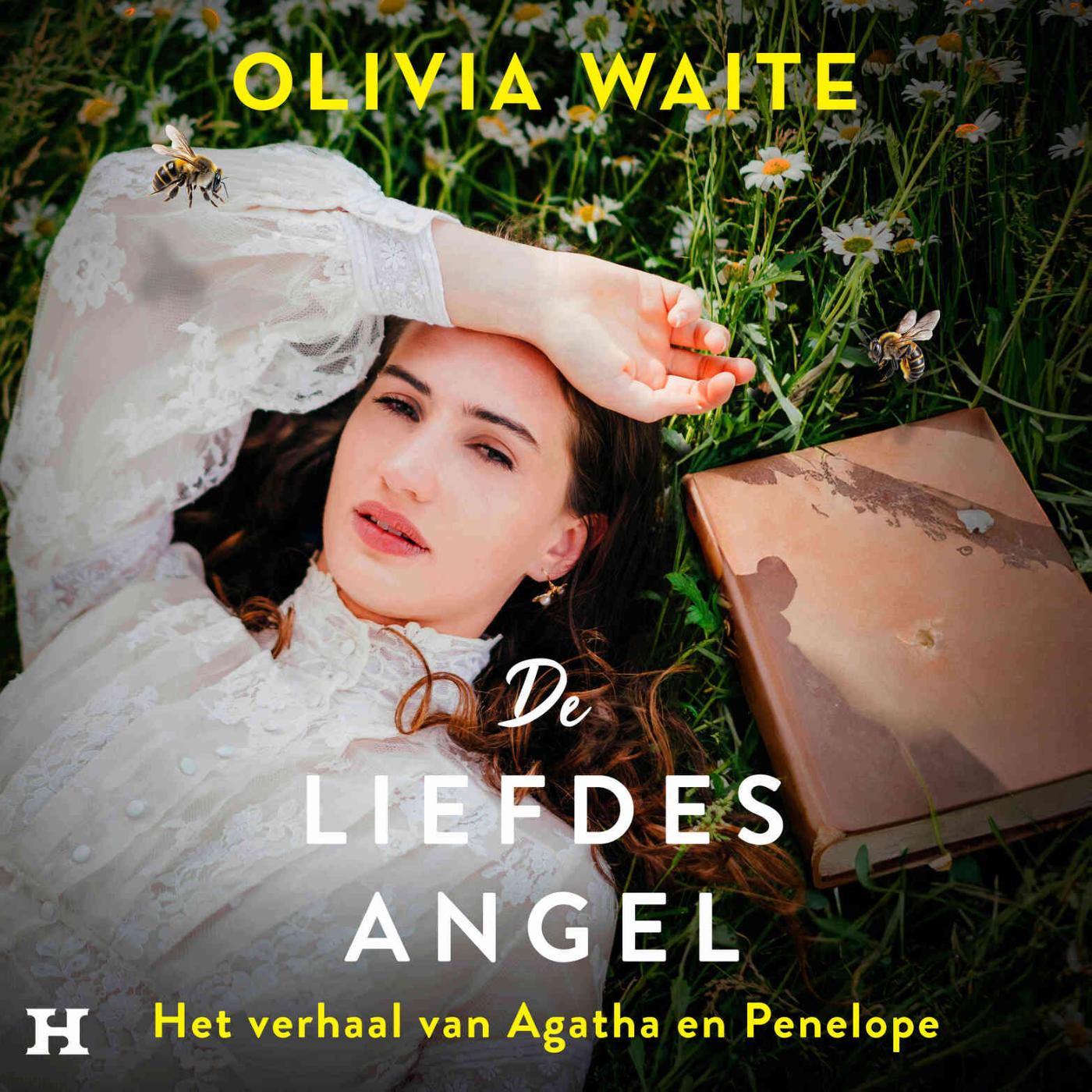 Omslag van De liefdesangel