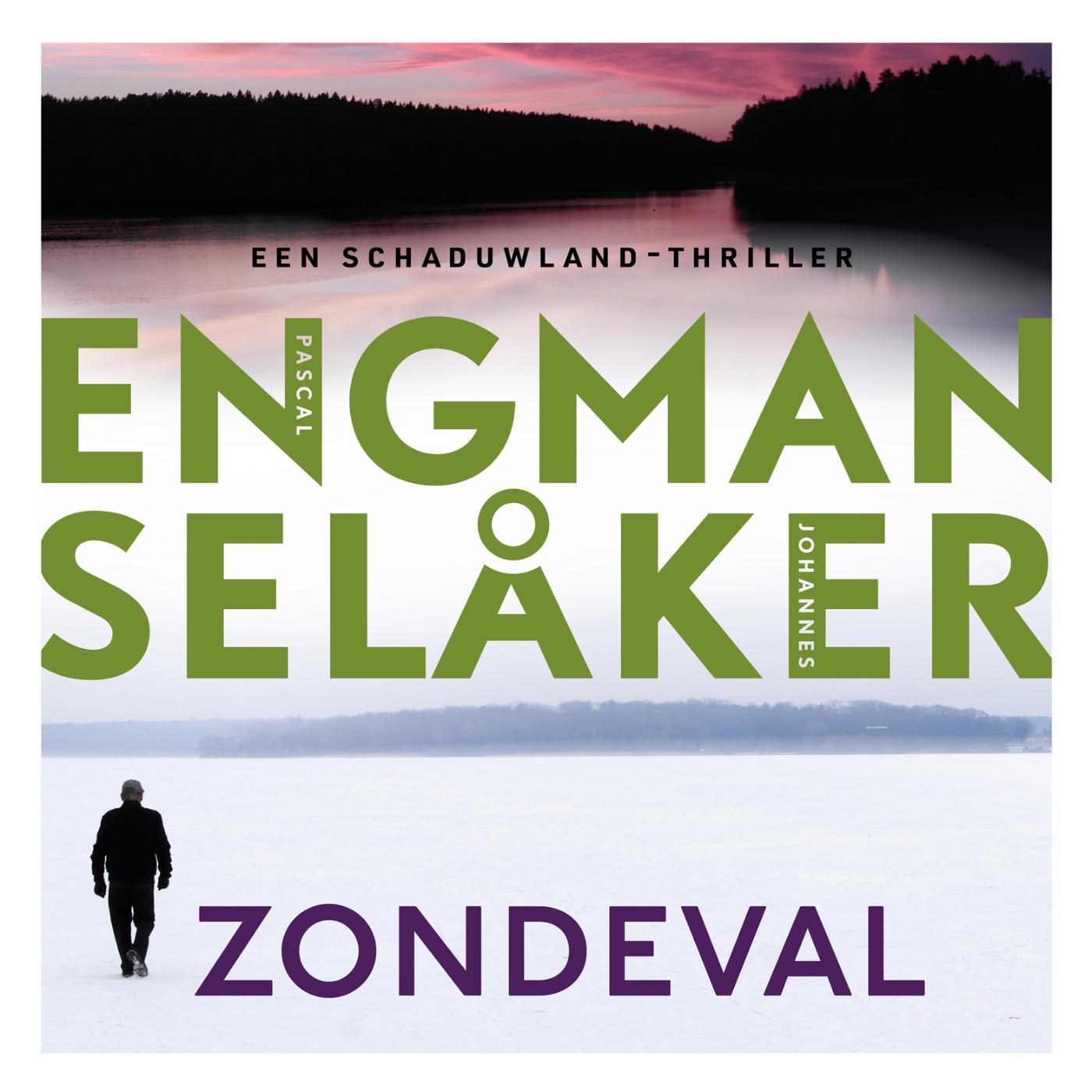 Omslag van Zondeval