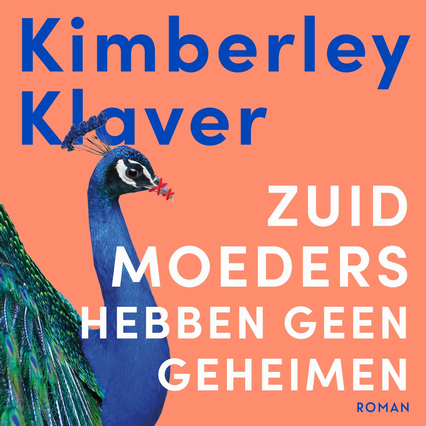 Omslag van Zuid-moeders hebben geen geheimen