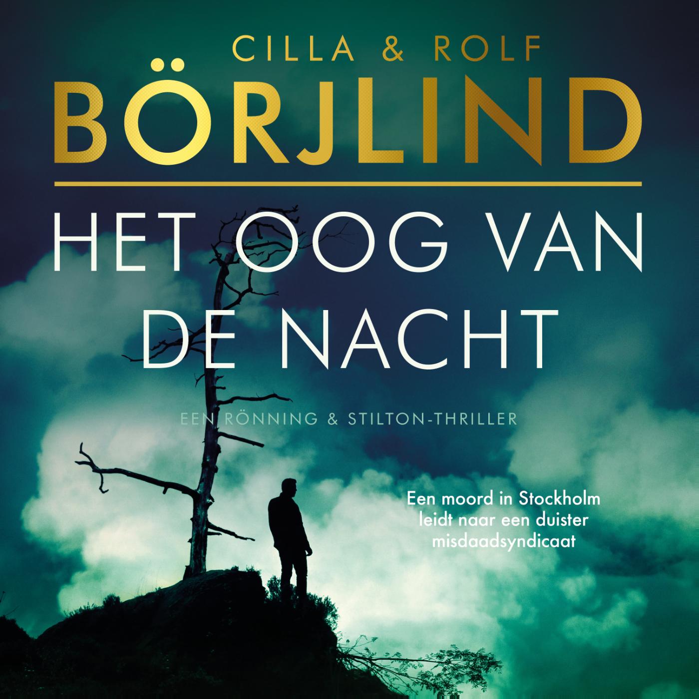 Omslag van Het oog van de nacht