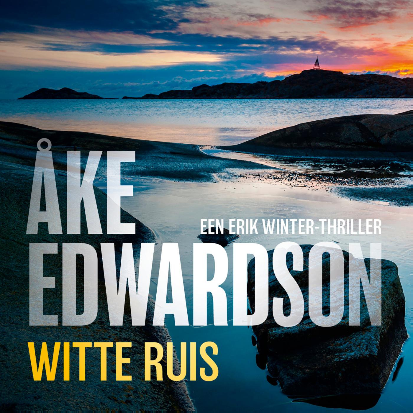 Omslag van Witte ruis
