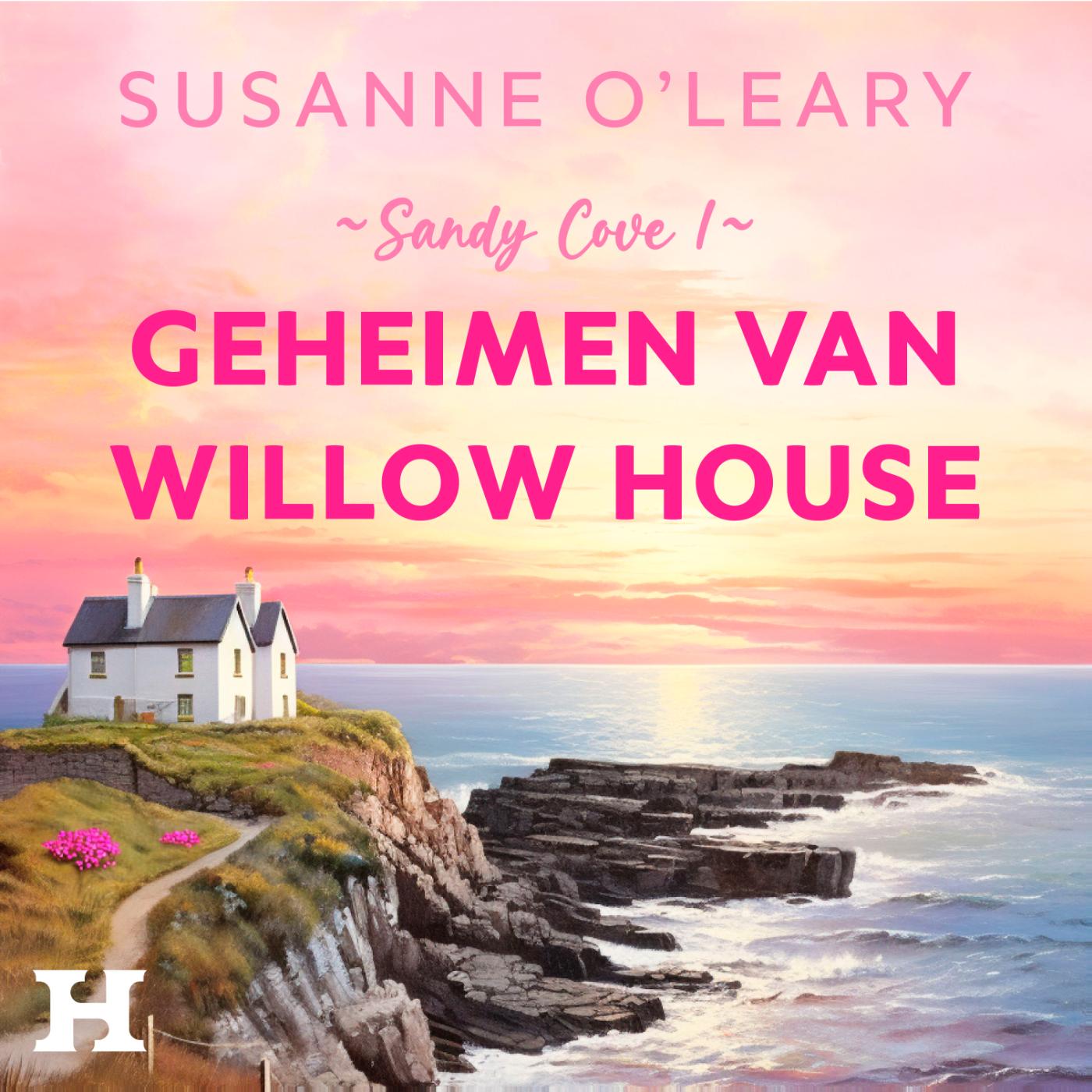 Omslag van Geheimen van Willow House