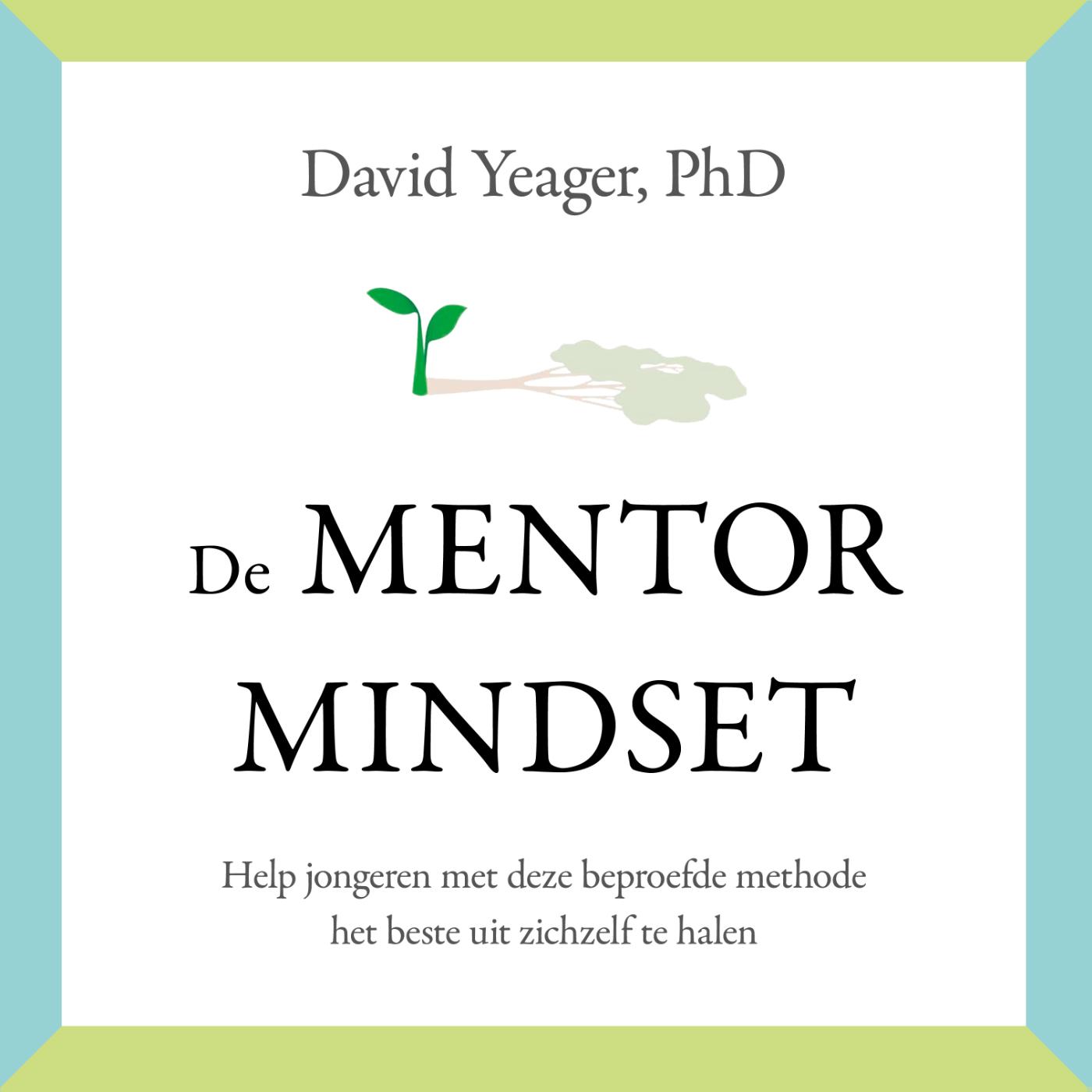 Omslag van De mentormindset