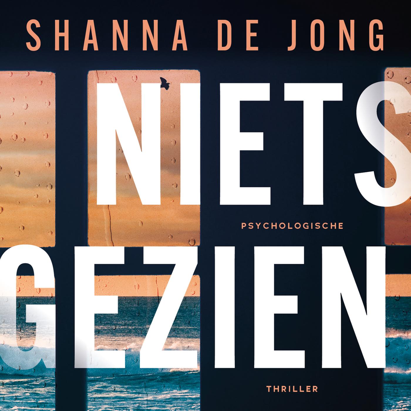 Omslag van Niets gezien