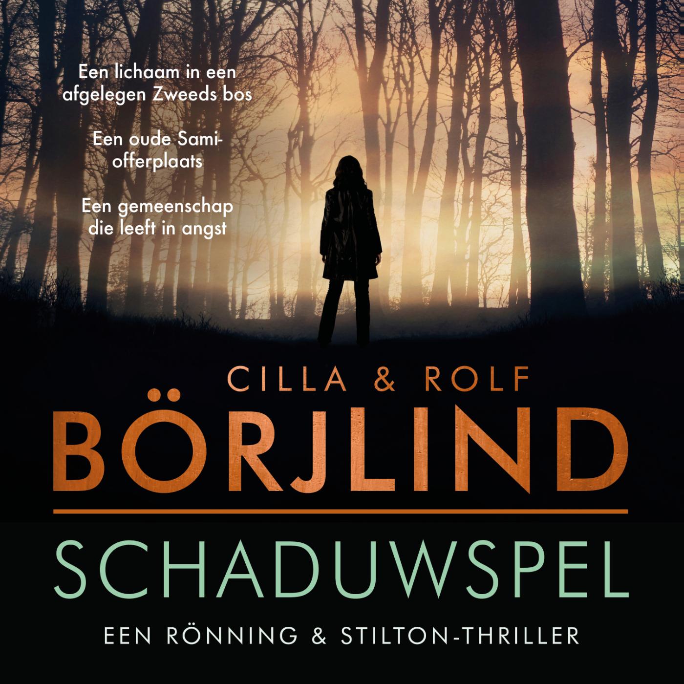 Omslag van Schaduwspel