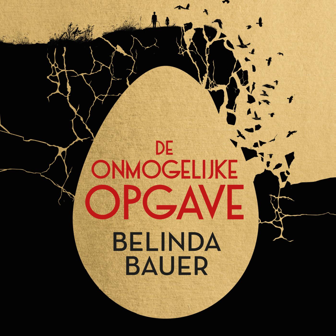 Omslag van De onmogelijke opgave