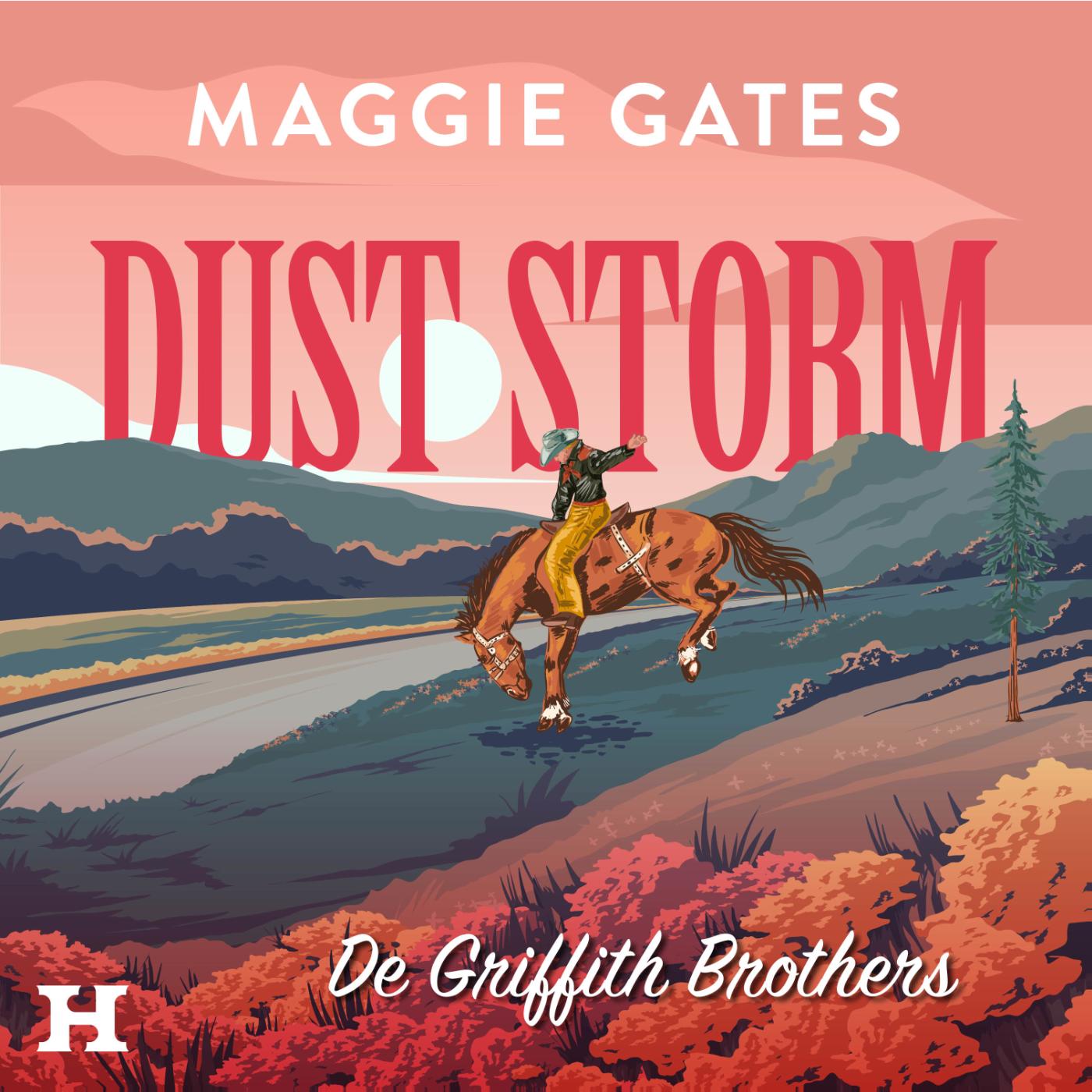 Omslag van Dust Storm