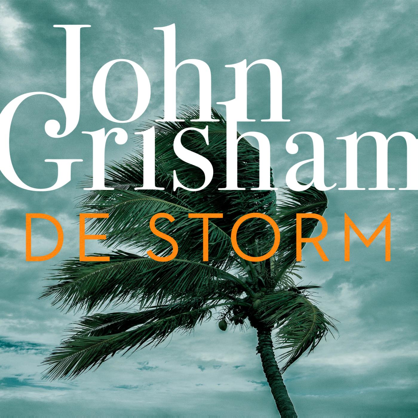 Omslag van De storm