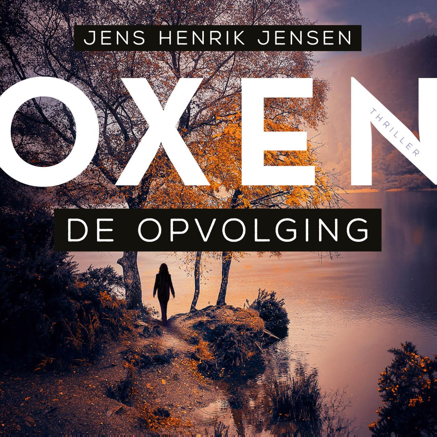 Omslag van De opvolging
