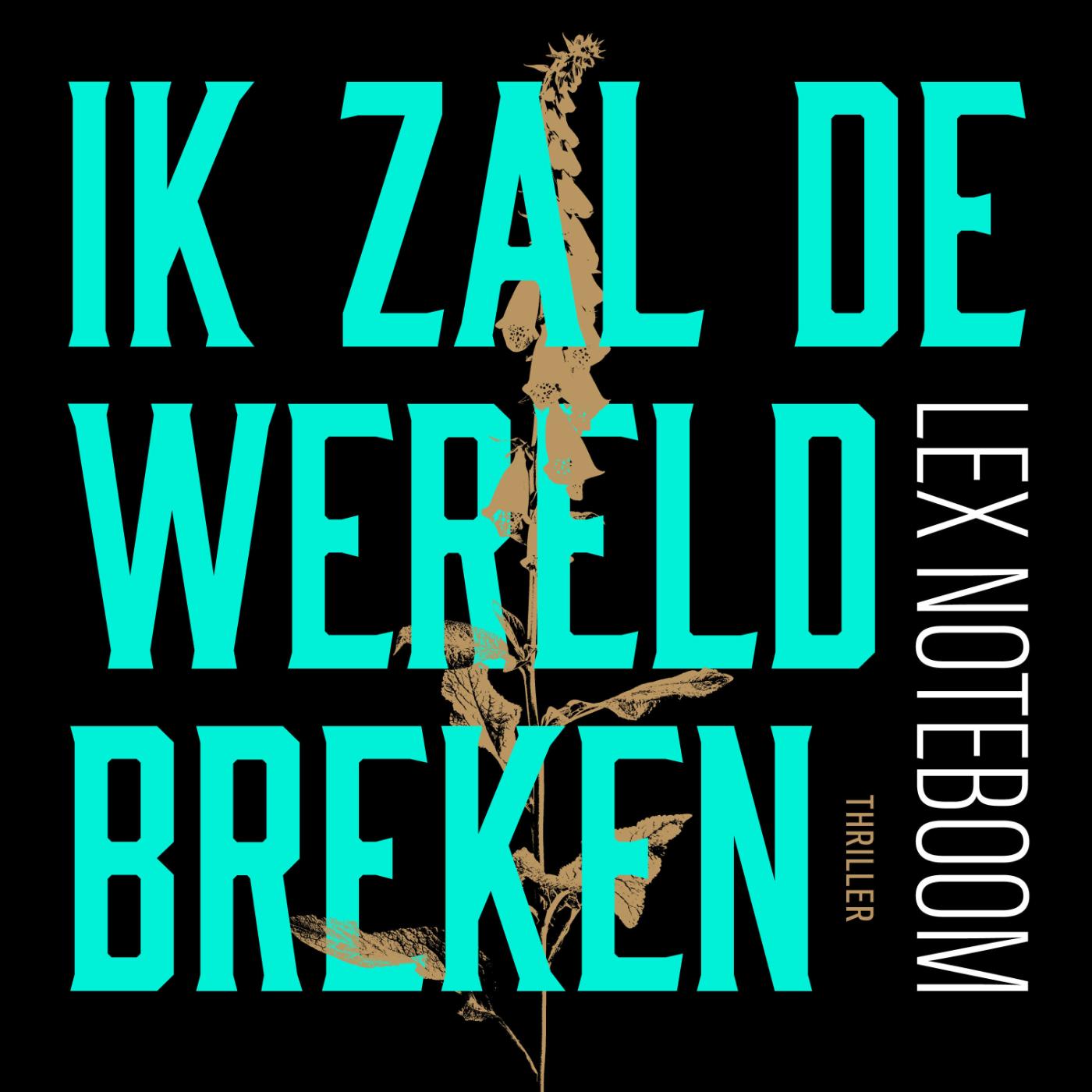 Omslag van Ik zal de wereld breken
