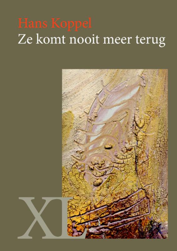 Omslag van Ze komt nooit meer terug