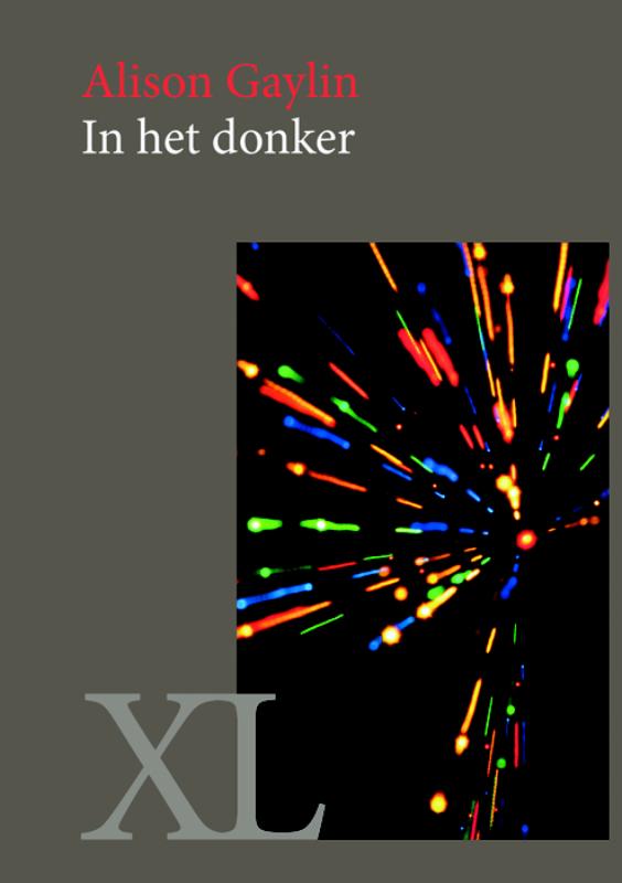Omslag van In het donker