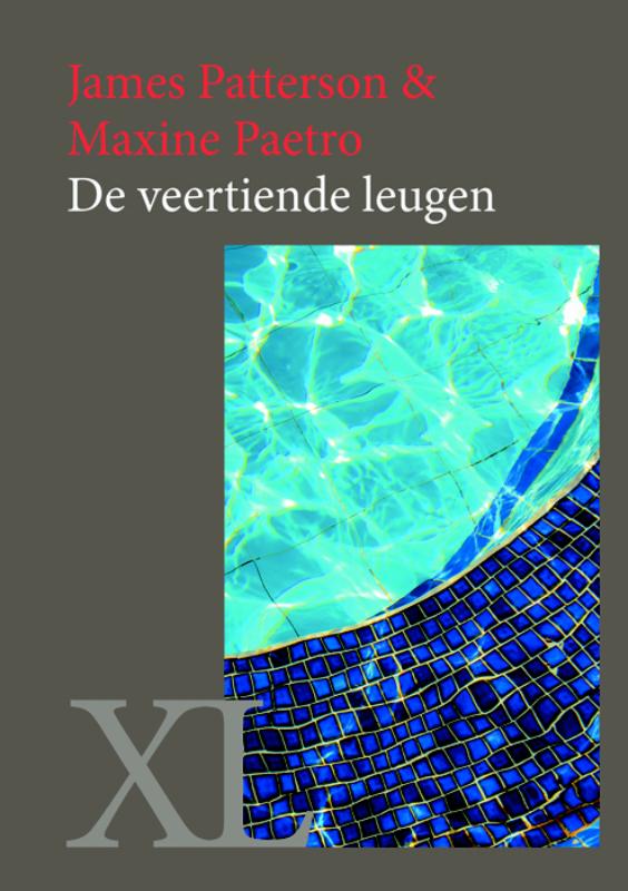 Omslag van De veertiende leugen