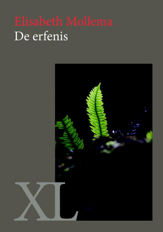 Omslag van De erfenis