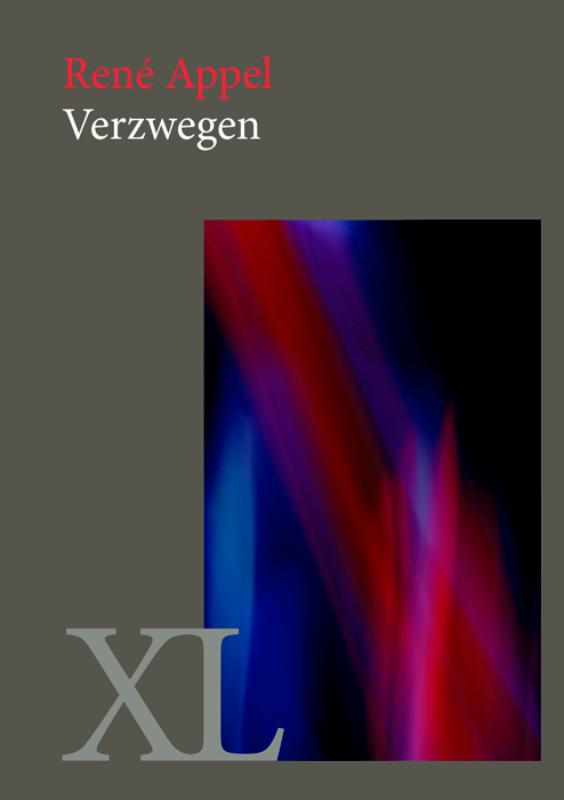 Omslag van Verzwegen