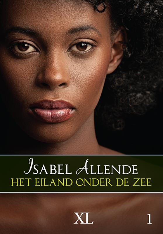 Omslag van Het eiland onder de zee