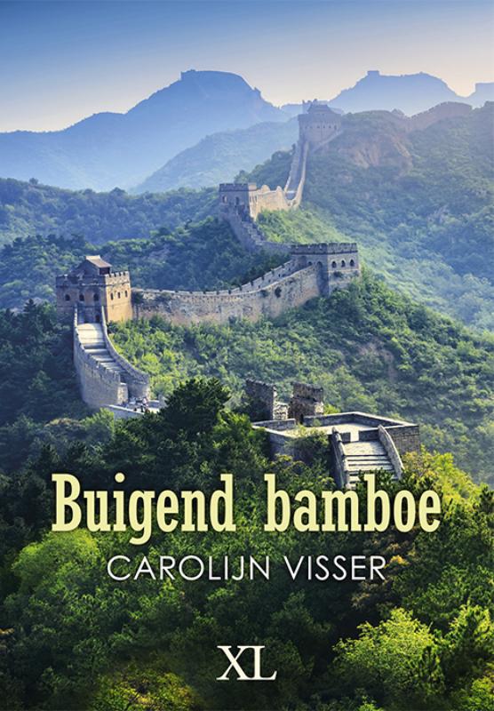 Omslag van Buigend bamboe