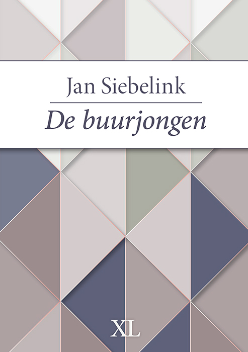 Omslag van De buurjongen