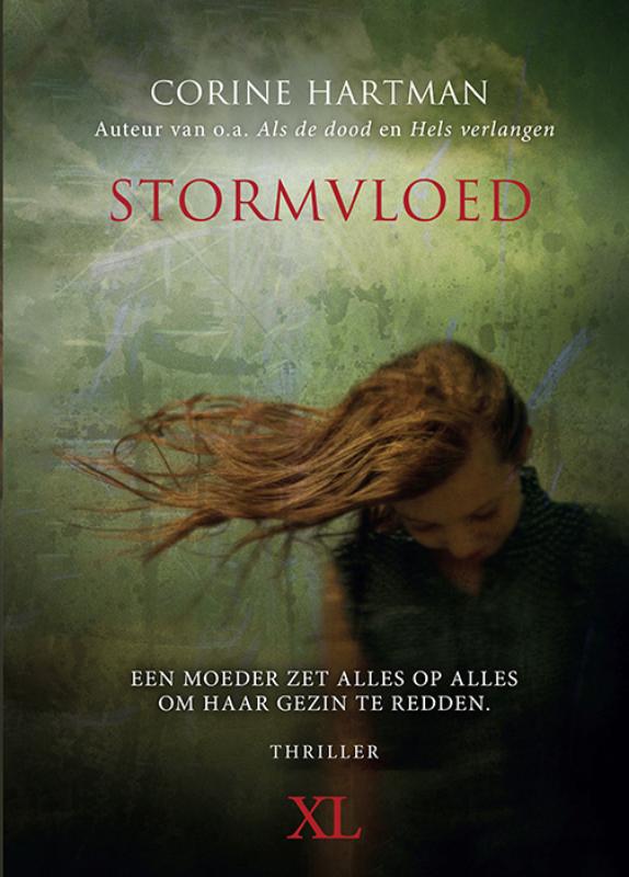 Omslag van Stormvloed